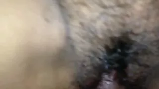 Охин нь ийм хатуу илжигтэй тул тахиа дотор нь бараг багтдаггүй