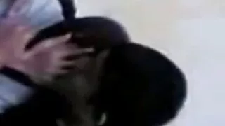 Нь Элизагийн шаргал нь ээлтэй зөндөө