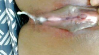 Шаргал морьтон