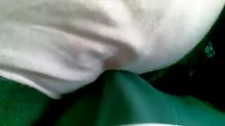 Хочлох гимбалыг үзүүлж, морь илжиг зохион
