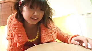 Энхрийлэх илжиг