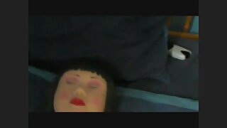 Өргөгдсөн хөх