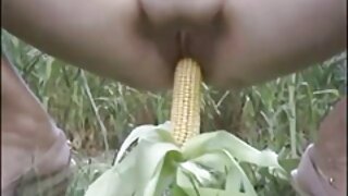 Булэг нүүр дүүрэн