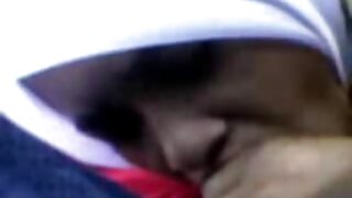 Том бэлэг эрхтэн