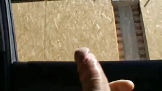 Хатуу тарьсан дээр шодой хүлцэнгүй хар үстэй